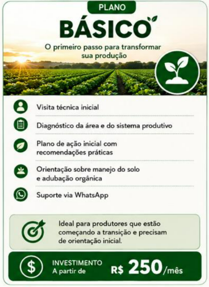 Plano Básico
