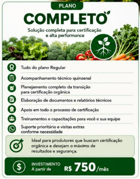 Plano Completo